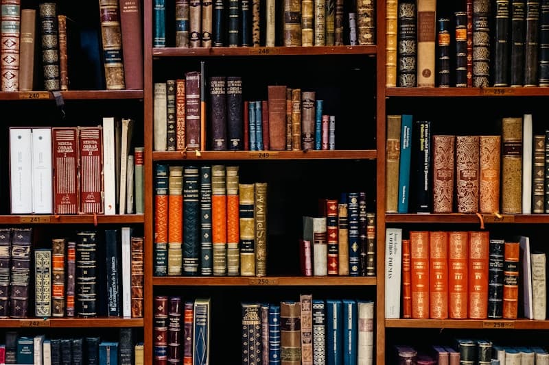 Quiet library-style reading room with shelves and soft seating